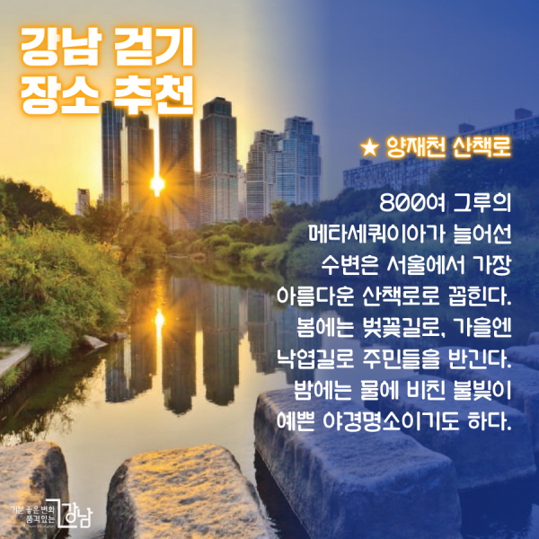 강남의 걷기 장소 추천 ★ 양재천 산책로  : 800여 그루의 메타세쿼이아가 늘어선 수변은 서울에서 가장 아름다운 산책로로 꼽 힌다. 봄에는 벚꽃길로, 가을엔 낙엽길로 주민들을 반긴다. 밤에는 물에 비친 불빛이 아름다운 야경명소이기도 하다.