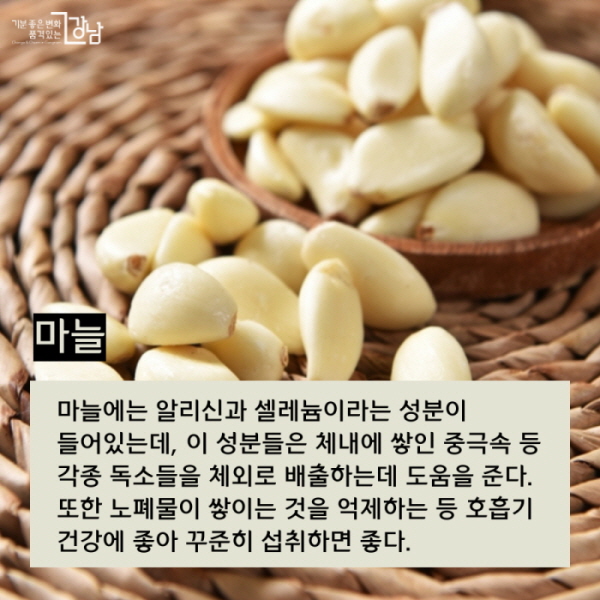 ▲ 마늘  마늘에는 알리신과 셀레늄이라는 성분이 들어있는데, 이 성분들은 체내에 쌓인 중극속 등 각종 독소들을 체외로 배출하는데 도움을 준다. 또한 노폐물이 쌓이는 것을 억제하는 등 호흡기 건강에 좋아 꾸준히 섭취하면 좋다.