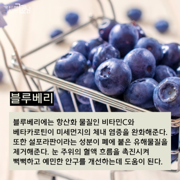 ▲ 블루베리  블루베리에는 항산화 물질인 비타민C와 베타카로틴이 미세먼지의 체내 염증을 완화해준다. 또한 설포라판이라는 성분이 폐에 붙은 유해물질을 제거해준다. 눈 주위의 혈액 흐름을 촉진시켜 뻑뻑하고 예민한 안구를 개선하는데 도움이 된다.