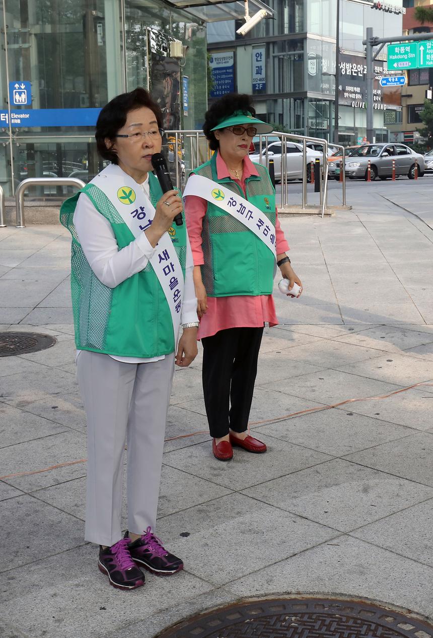 새마을 나라사랑 태극기 달기 - 1