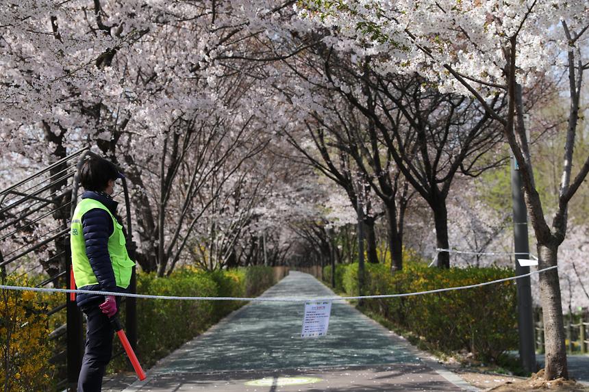 양재천 통제 - 1