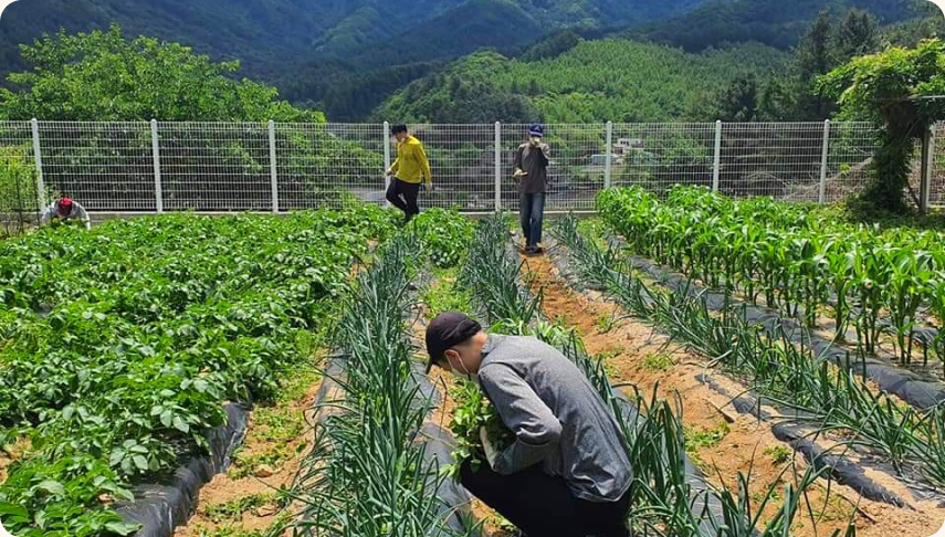 남기철 이사장은 자립 공동체를 꿈꾸며 7년 전부터 포천에서 농장을 운영하고 있다.