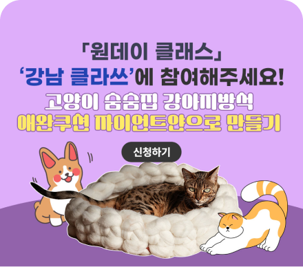 강남라이프에서 준비한 특별한 원데이 클래스 강남클라쓰를 참여해해주세요!