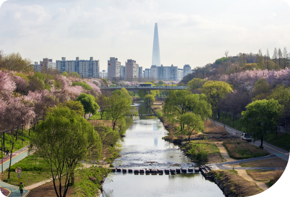 양재천 공원 전경