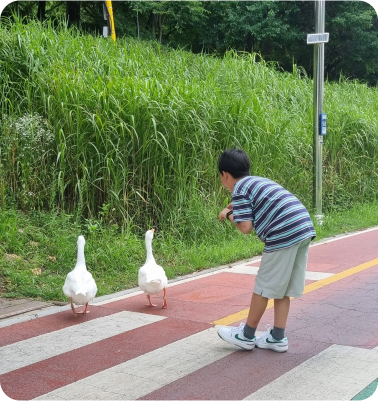 배선희(대치동)