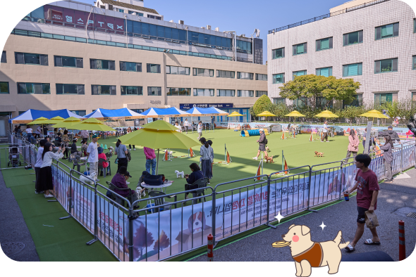 강남구청 주차장에 마련된 반려견 순회 놀이터 현장