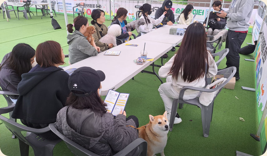 반려견을 데리고 나온 보호자들