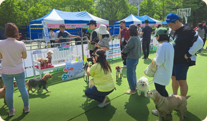 순회 놀이터에 마련된 포토존