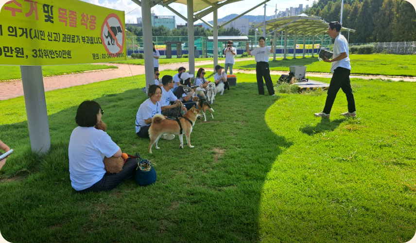 반려견 행동교정 아카데미에 참여한 시민들