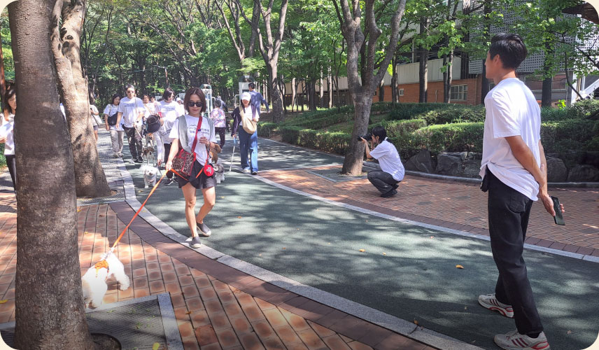 반려견 행동교정 아카데미에 참여한 시민들