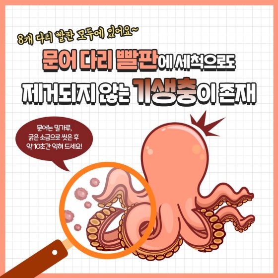 문어 다리 빨판에 세척으로도 제거되지 않는 기생충이 존재. 문어는 밀가루, 굵은소금으로 씻은 후 약 10초간 익혀 드세요. 8개 다리 빨판 모두에 있어요. 