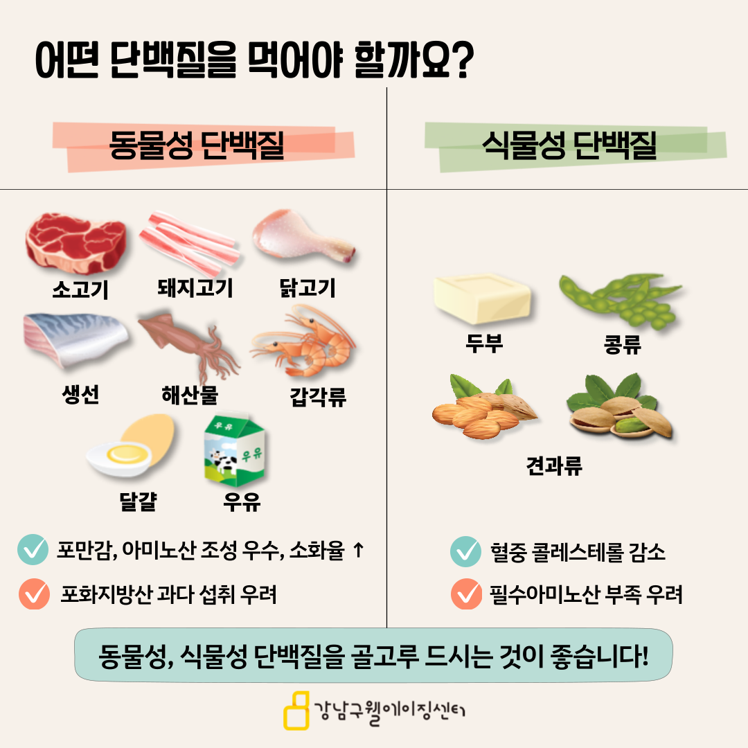 소고기, 돼지고기, 닭고기, 생선, 해산물, 갑각류, 달걀, 우유 등에 들어있는 동물성 단백질은 포만감이 뛰어나고 아미노선 조성이 우수하며, 흡수율이 높습니다. 반면에 포화지방산을 과다 섭취할 우려가 있습니다. 두부, 콩류, 견과류 등에 들어있는 식물성 단백질은 혈중 콜레스테롤 감소에 효과적이지만 필수아미노산이 부족해질 수 있습니다. 따라서 동물성·식물성 단백질을 골고루 드시는 것이 좋습니다.