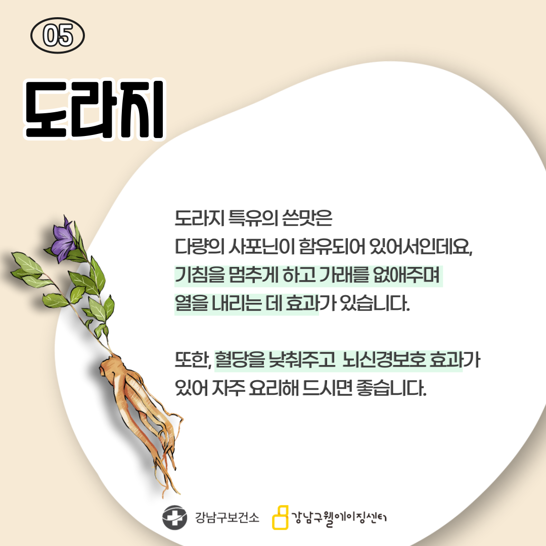 다섯 번째는 도라지입니다. 도라지 특유의 쓴맛은 다량의 사포닌이 함유돼 있어서인데요, 기침을 멈추게 하고 가래를 없애주며 열을 내리는 데 효과가 있습니다. 또한 혈당을 낮춰주고 뇌신경보호 효과가 있어 자주 요리해 드시면 좋습니다.