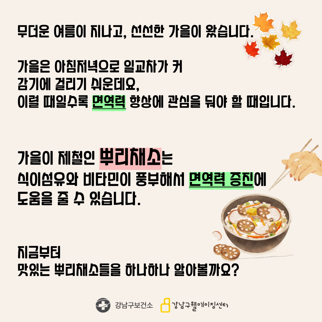 무더운 여름이 지나고 선선한 가을이 왔습니다. 가을은 아침저녁으로 일교차가 커 감기에 걸리기 쉬원데요, 이럴 때일수록 면역력 향상에 관심을 둬야할 때입니다. 가을이 제철인 뿌리채소는 식이섬유와 비타민이 풍부해서 면역력 증진에 도움을 줄 수 있습니다. 지금부터 맛있는 뿌리채소들을 하나하나 알아볼까요?