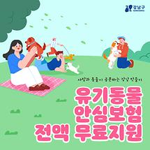 강남구, 유기동물 안심보험 전액 무료지원!