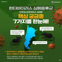 한타바이러스 심폐증후군 핵심 궁금증 7가지를 한눈에! 