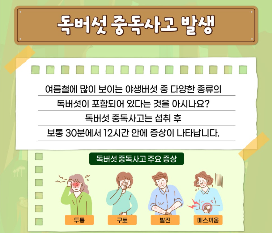 야생버섯2.png