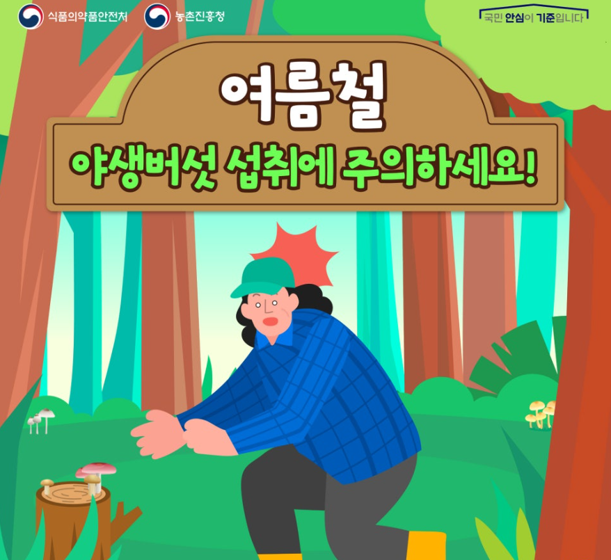 야생버섯1.png