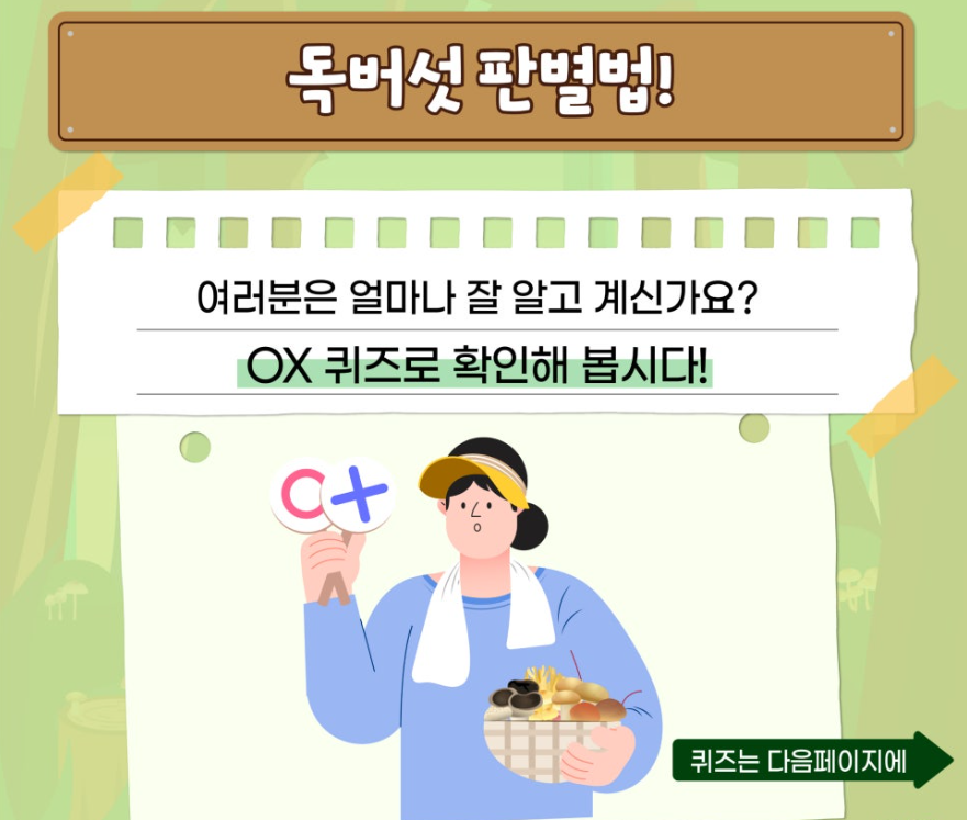 야생버섯3.png