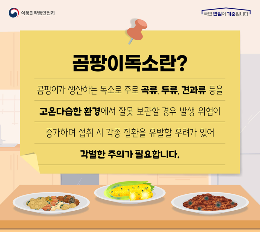 곰팡이독소2.png