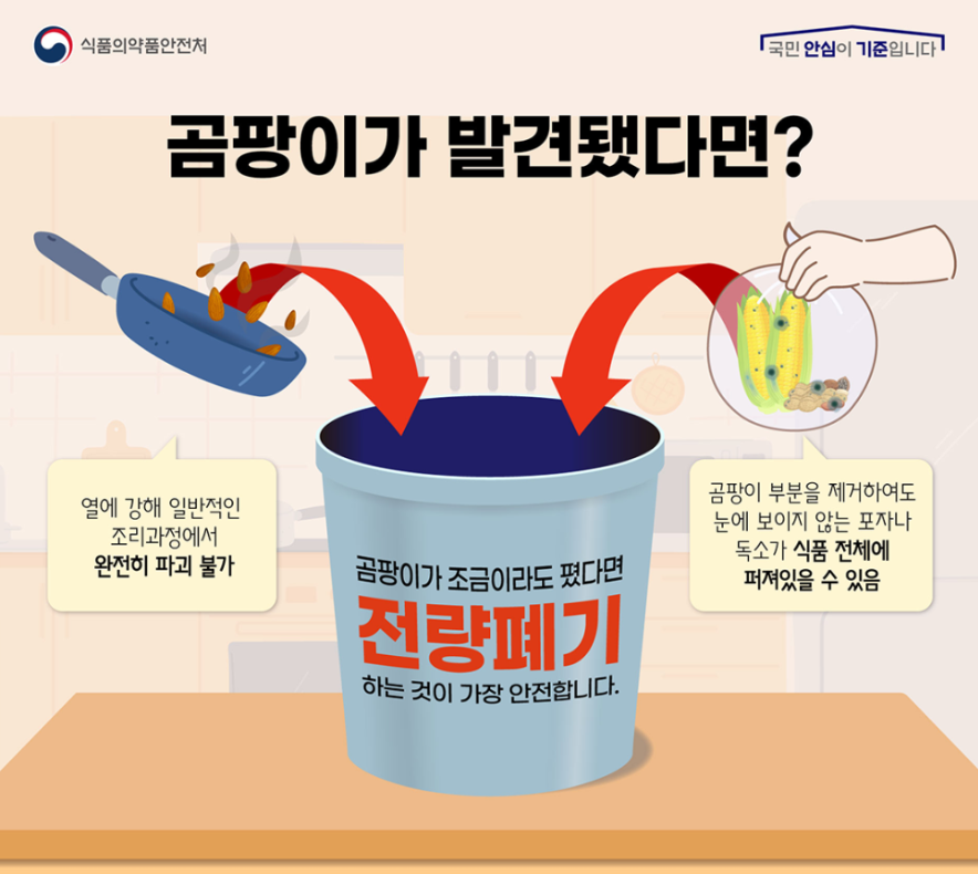 곰팡이독소5.png