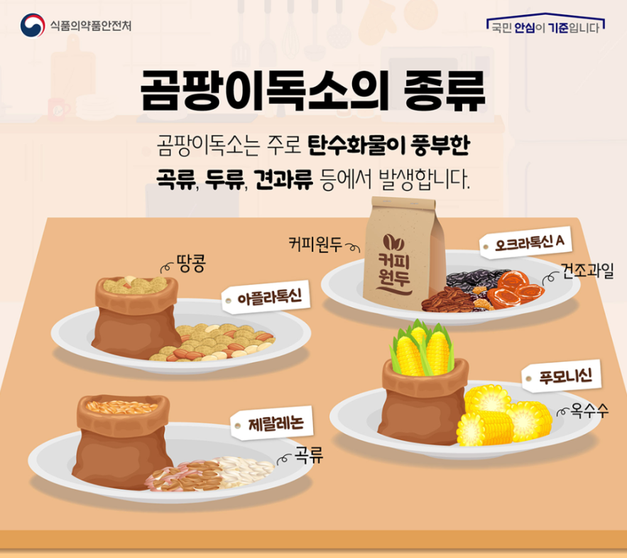 곰팡이독소3.png