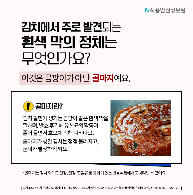 김치곰팡이4.png