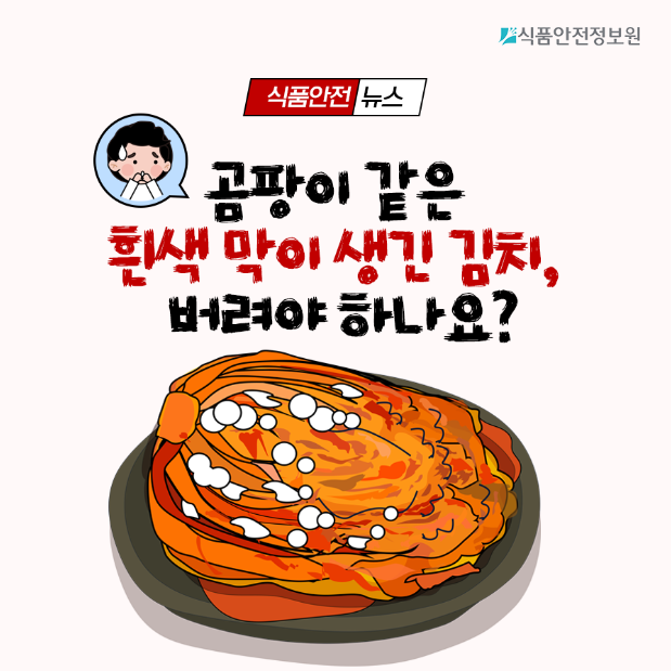 김치곰팡이1.png