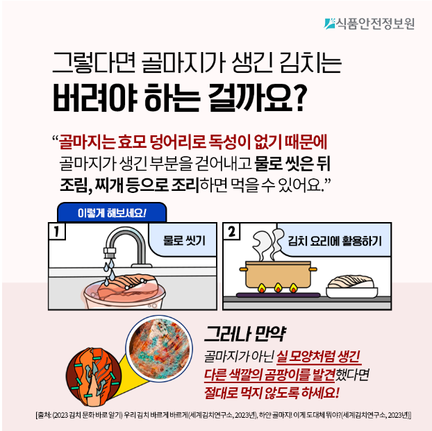 김치곰팡이5.png