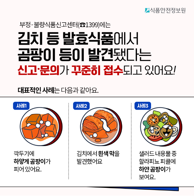 김치곰팡이3.png