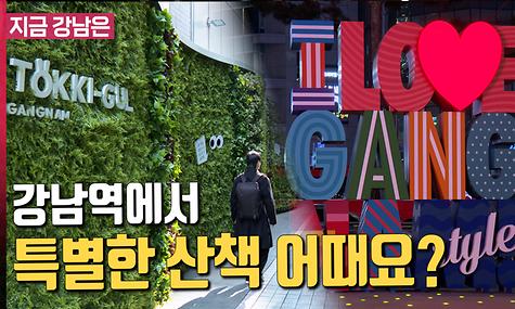 걷고 싶은 거리, 강남역에서 특별한 산책 어때요?