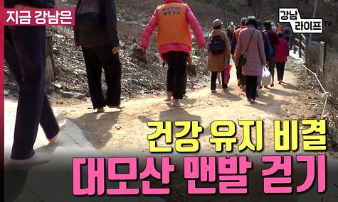 건강 유지의 비결, 대모산 맨발 걷기
